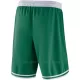 Shorts de Baloncesto Boston Celtics Icon Edition Swingman