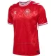 Camiseta Dinamarca Hombre 1ª Equipación Eurocopa 2024