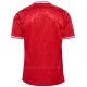 Camiseta Dinamarca Hombre 1ª Equipación Eurocopa 2024