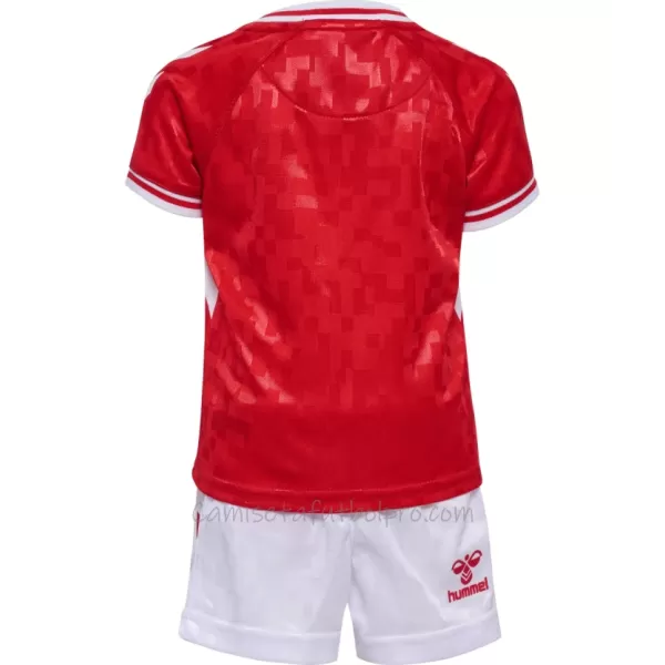 Camiseta Dinamarca Niños 1ª Equipación Eurocopa 2024