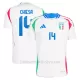 Camiseta Italia Federico Chiesa 14 Hombre 2ª Equipación Eurocopa 2024