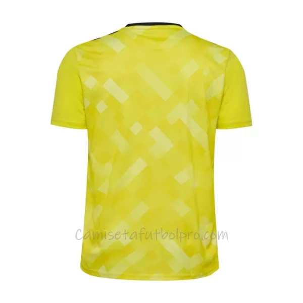 Camiseta Portero Dinamarca Hombre Eurocopa 2024 Amarillo