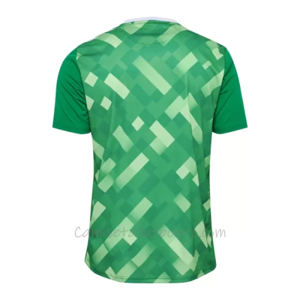 Camiseta Portero Dinamarca Hombre Eurocopa 2024 Verde