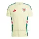 Camiseta Gales Hombre 2ª Equipación 2024