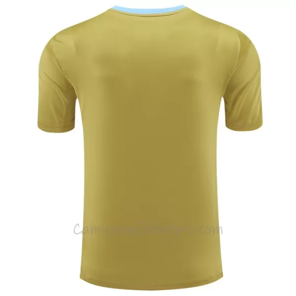 Camiseta Argentina Pre-Match Hombre 2024 Amarillo