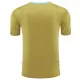 Camiseta Argentina Pre-Match Hombre 2024 Amarillo