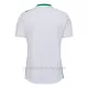 Camiseta AS Saint-Étienne Hombre 2ª Equipación 24/25