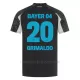 Camiseta Bayer 04 Leverkusen Alejandro Grimaldo 20 Hombre 3ª Equipación 24/25