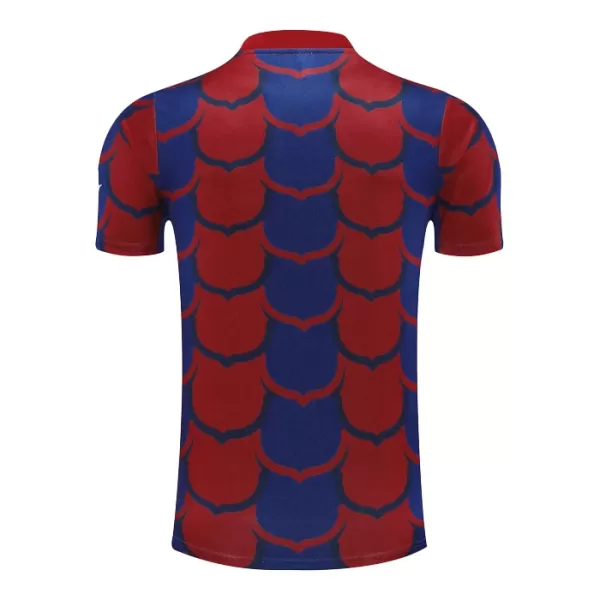 Camiseta FC Barcelona Pre-Match Hombre 24/25