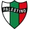 Club Deportivo Palestino